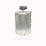 ARCA FLAMMA - Platinum