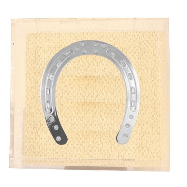 Horseshoe of Bling Platinum Art