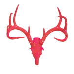 Pink Antler Head