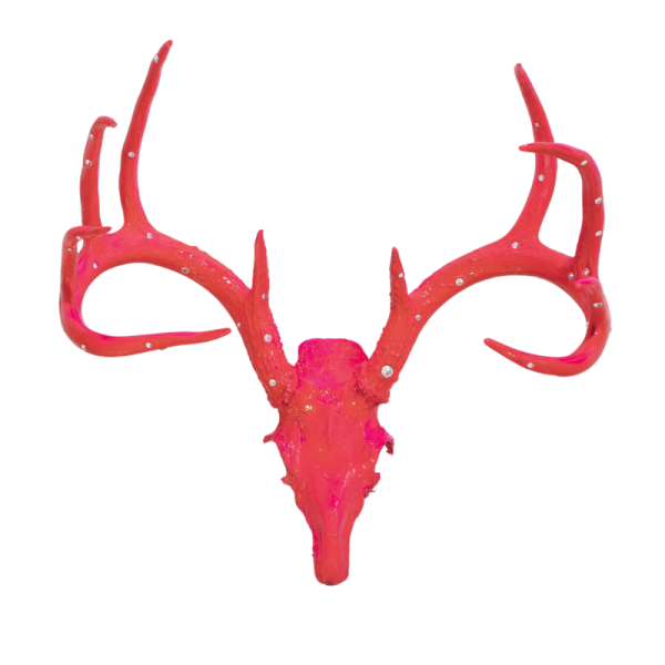 Pink Antler Head